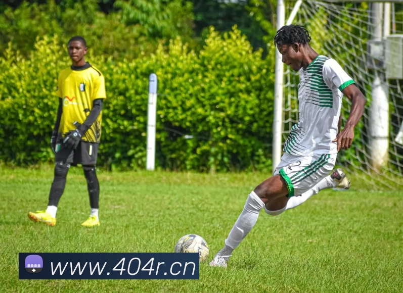 开云网页版登录入口 - 开云中国发展历程